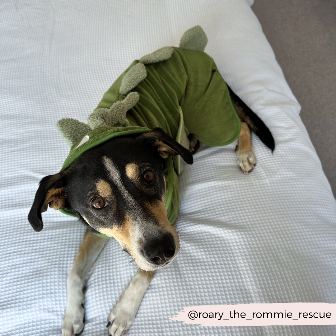 Dinopup Dog Drying Robe – Soft Microfibre Bathrobe with Dino Design