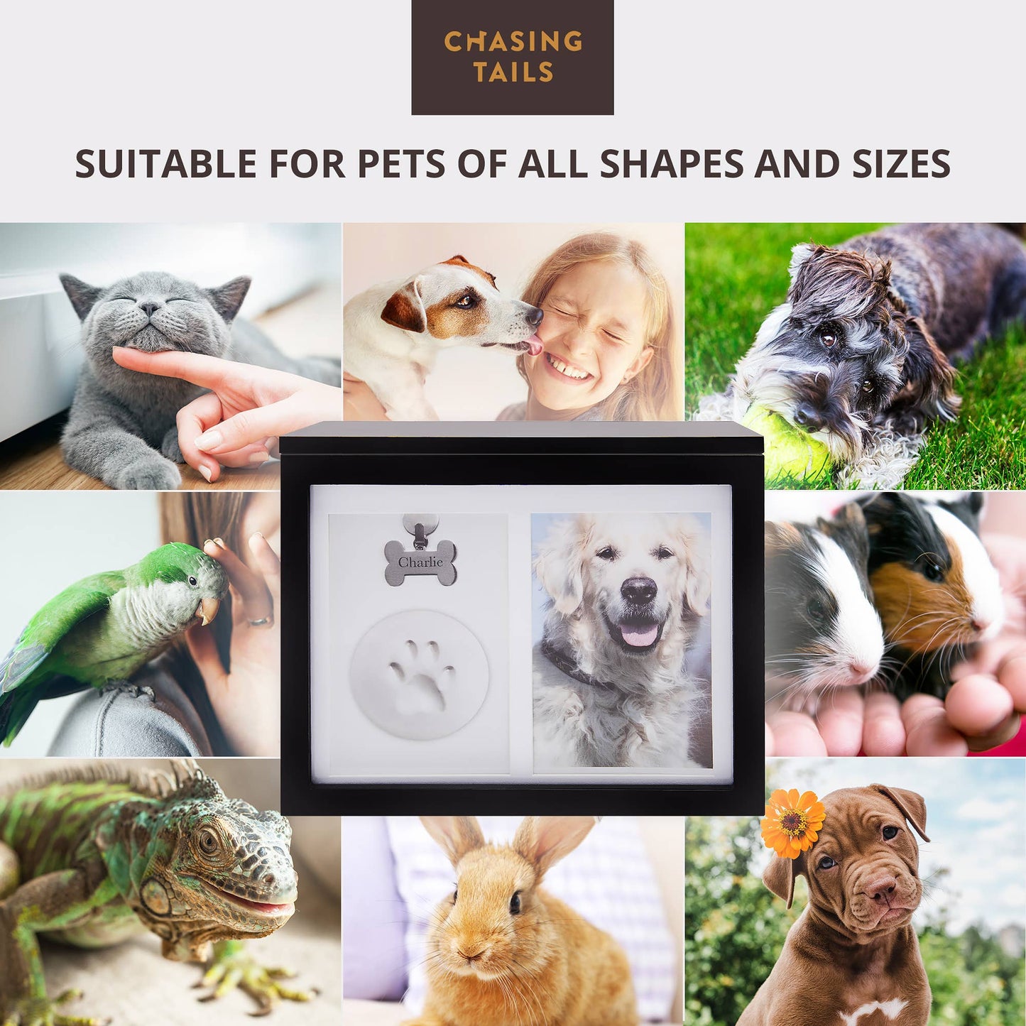 Honour Your Beloved Pet with The Pawley Pet Shop's Premium Pet Memorial Box