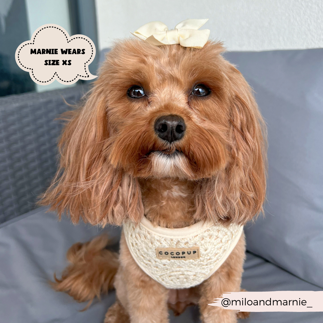 Festival Crochet Dog Harness – Adjustable, Lightweight & Stylish for Spring and Summer Walks