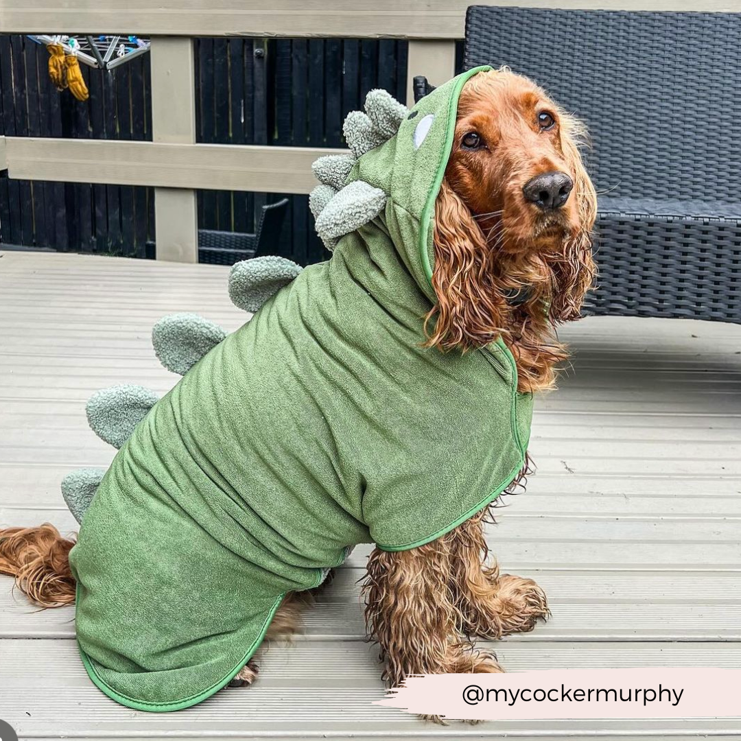 Dinopup Dog Drying Robe – Soft Microfibre Bathrobe with Dino Design