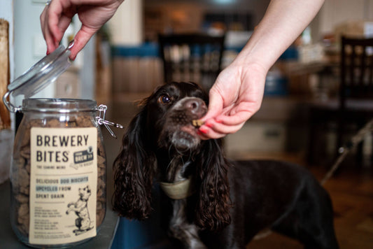 πΎ Brewery Bites Dog Treat Jar β Ready-to-Go Treat Station for Dog-Friendly Spaces