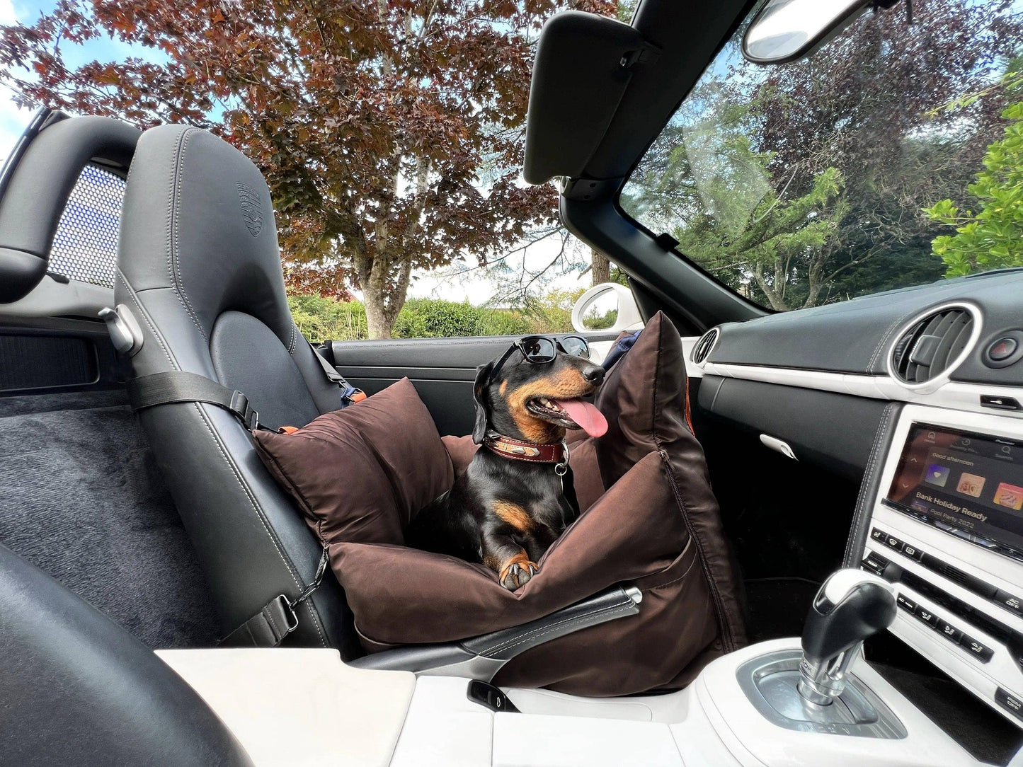 Luxury Car Dog Seat with ISOFIX, Safety & Comfort Enhanced