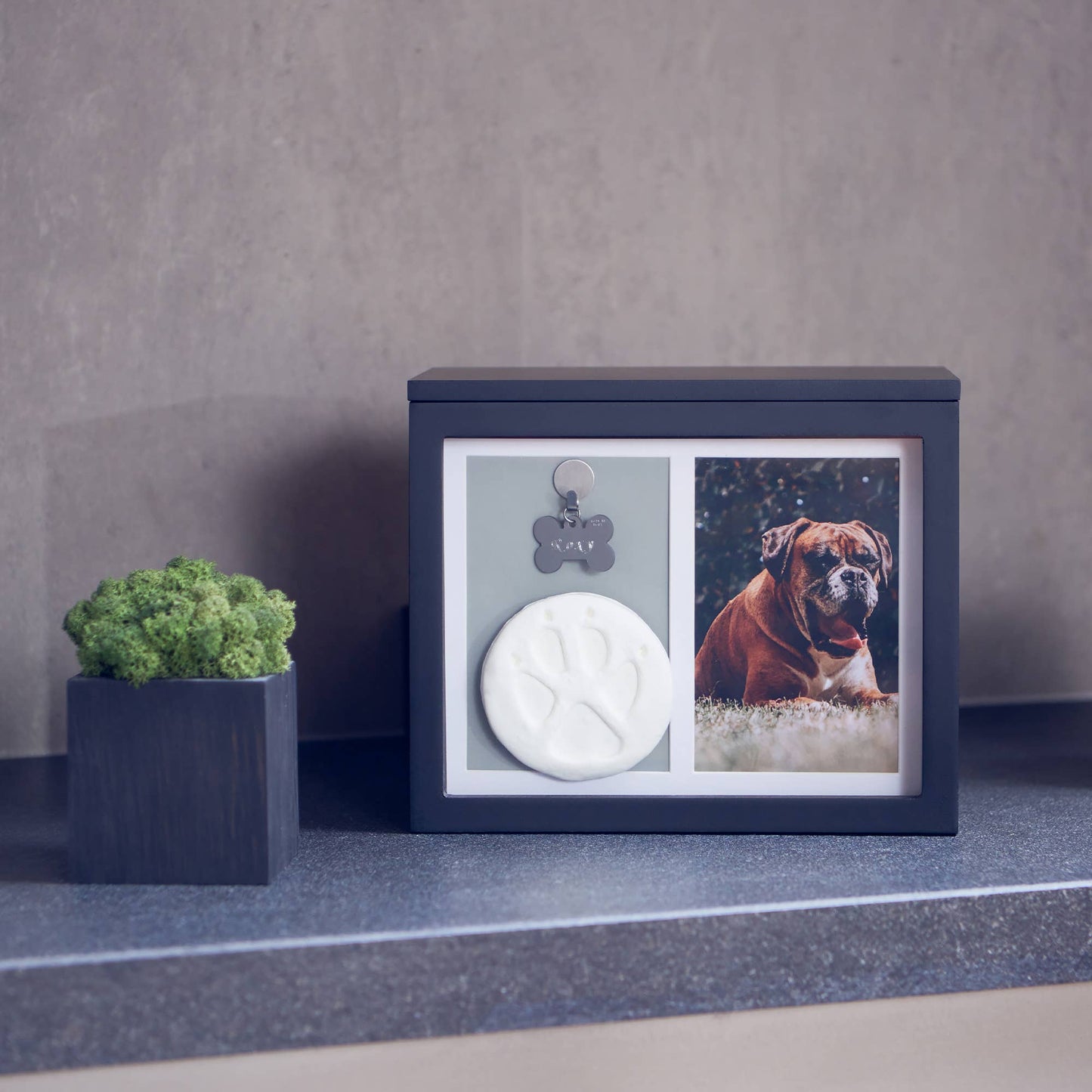 Honour Your Beloved Pet with The Pawley Pet Shop's Premium Pet Memorial Box