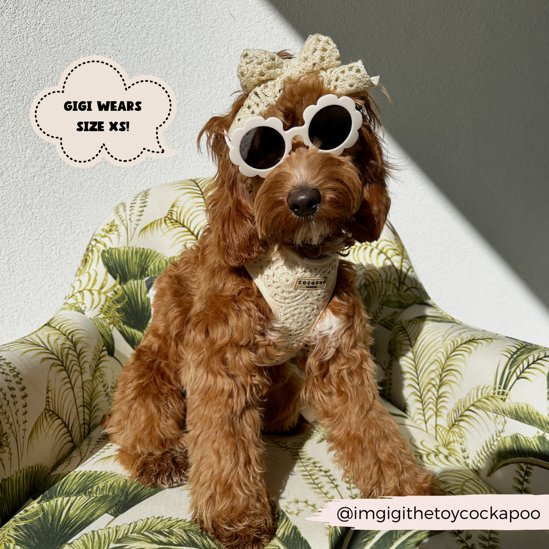Festival Crochet Dog Harness – Adjustable, Lightweight & Stylish for Spring and Summer Walks