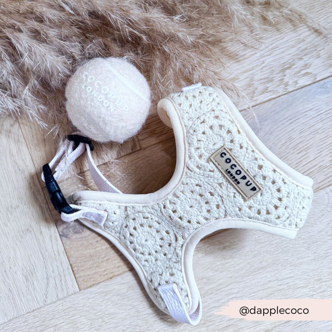 Festival Crochet Dog Harness – Adjustable, Lightweight & Stylish for Spring and Summer Walks