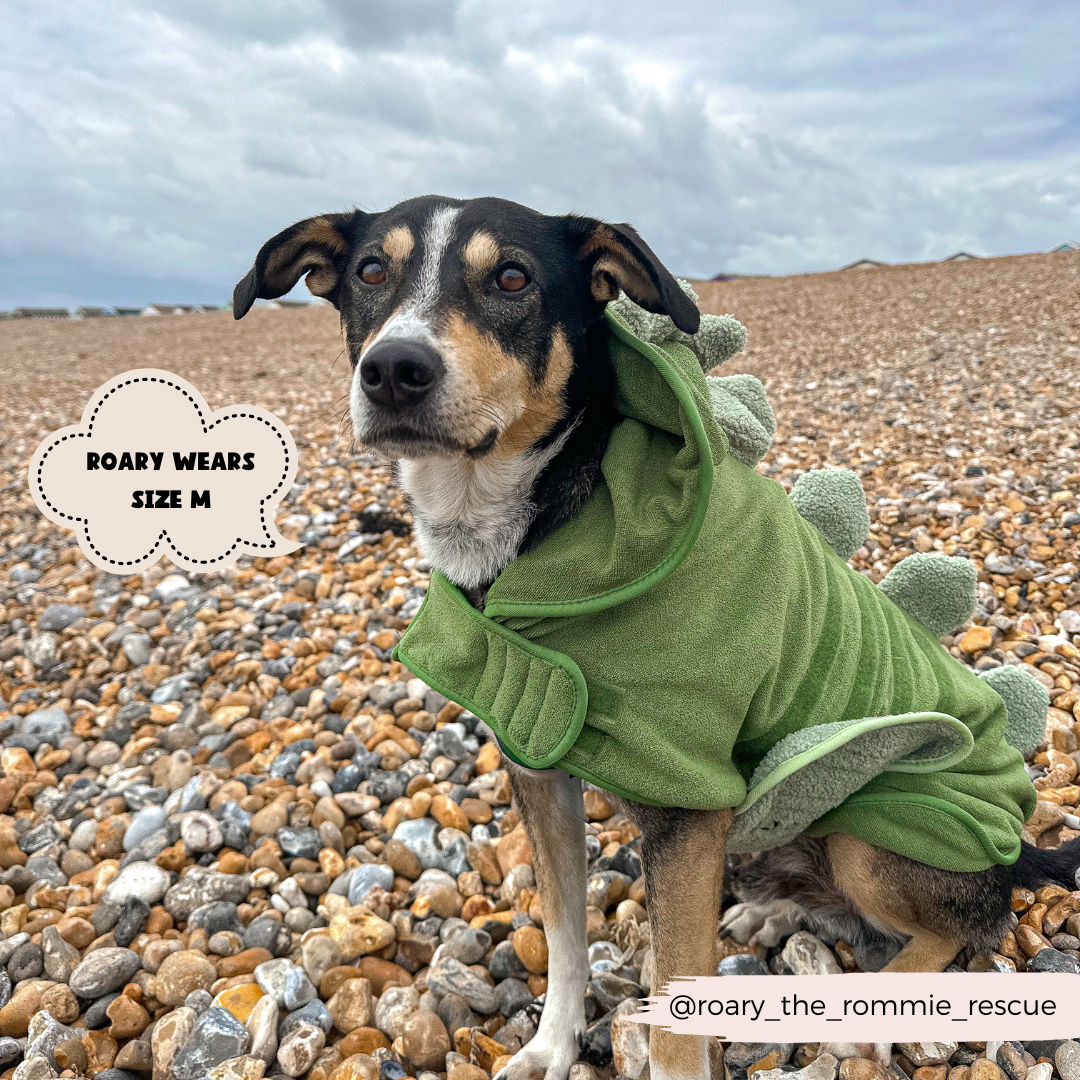 Dinopup Dog Drying Robe – Soft Microfibre Bathrobe with Dino Design