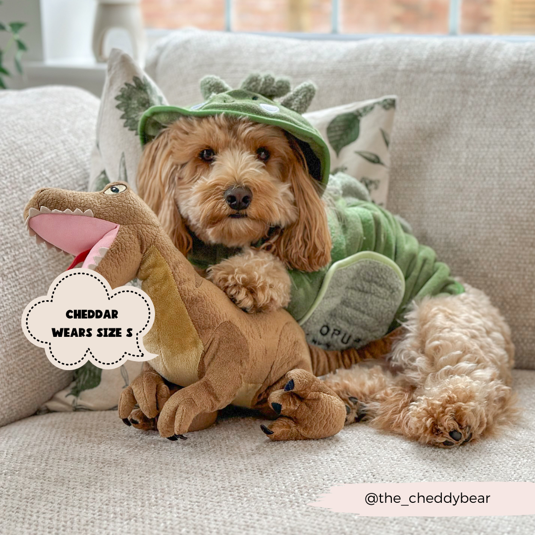 Dinopup Dog Drying Robe – Soft Microfibre Bathrobe with Dino Design