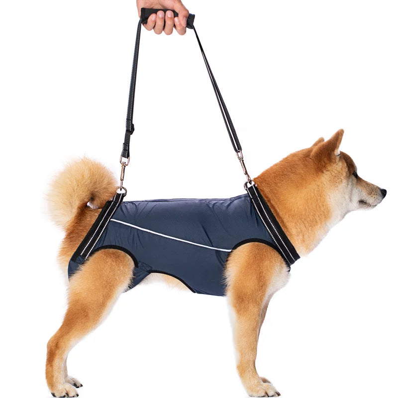 Lift & Love: Ultimate Support Harness for Dogs Pet Support Rehabilitation Sling Padded Breathable Straps for Old Disabled Joint Injuries Arthritis Dog Walk
