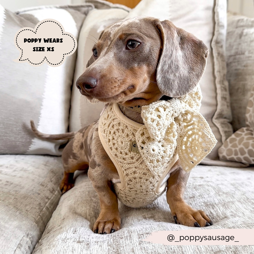 Festival Crochet Dog Harness – Adjustable, Lightweight & Stylish for Spring and Summer Walks