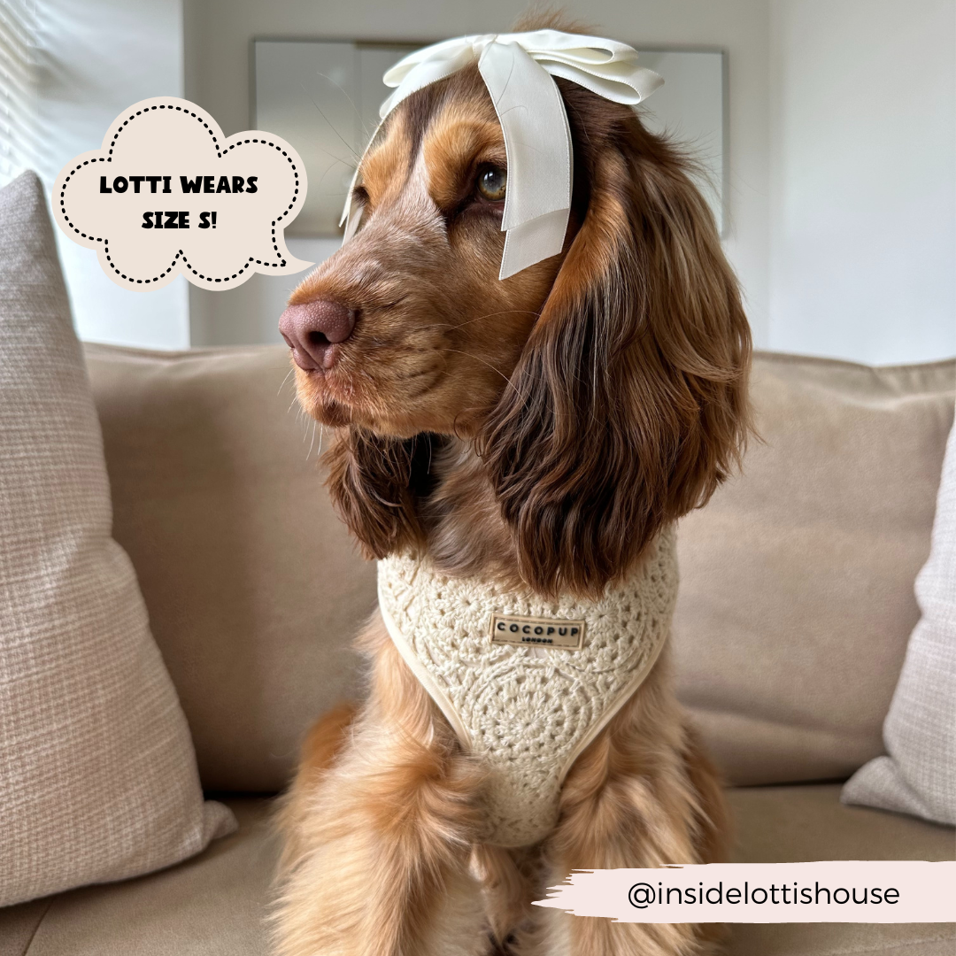 Festival Crochet Dog Harness – Adjustable, Lightweight & Stylish for Spring and Summer Walks