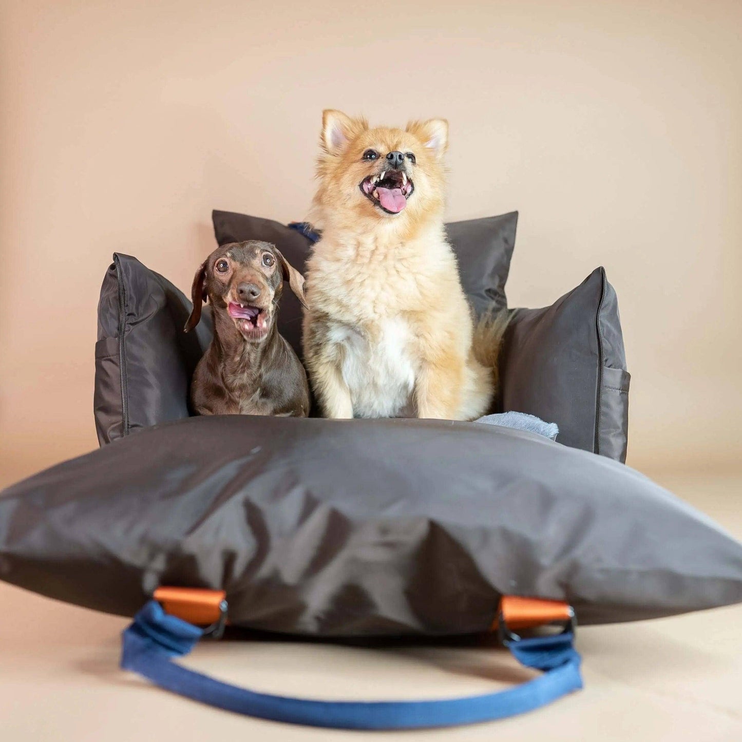 Luxury Car Dog Seat with ISOFIX, Safety & Comfort Enhanced