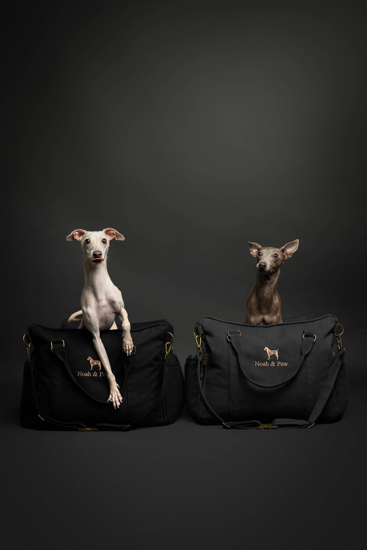 4-in-1 Luxury Dog Car Seat – Travel Bed, Lounger & Portable Carrier with 4X Safety System