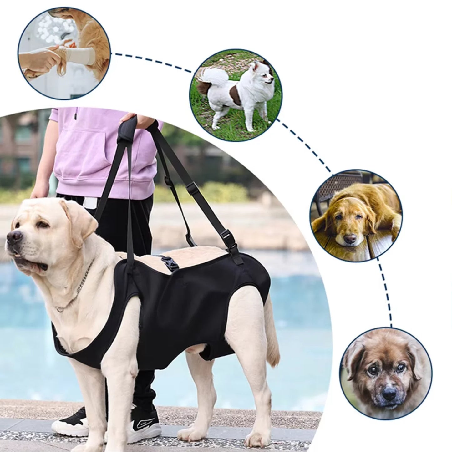 Dog Sling Carrier Dog Carry Sling Pet Legs Support & Rehabilitation Dog Lift Harness And Down Stairs Arthritis