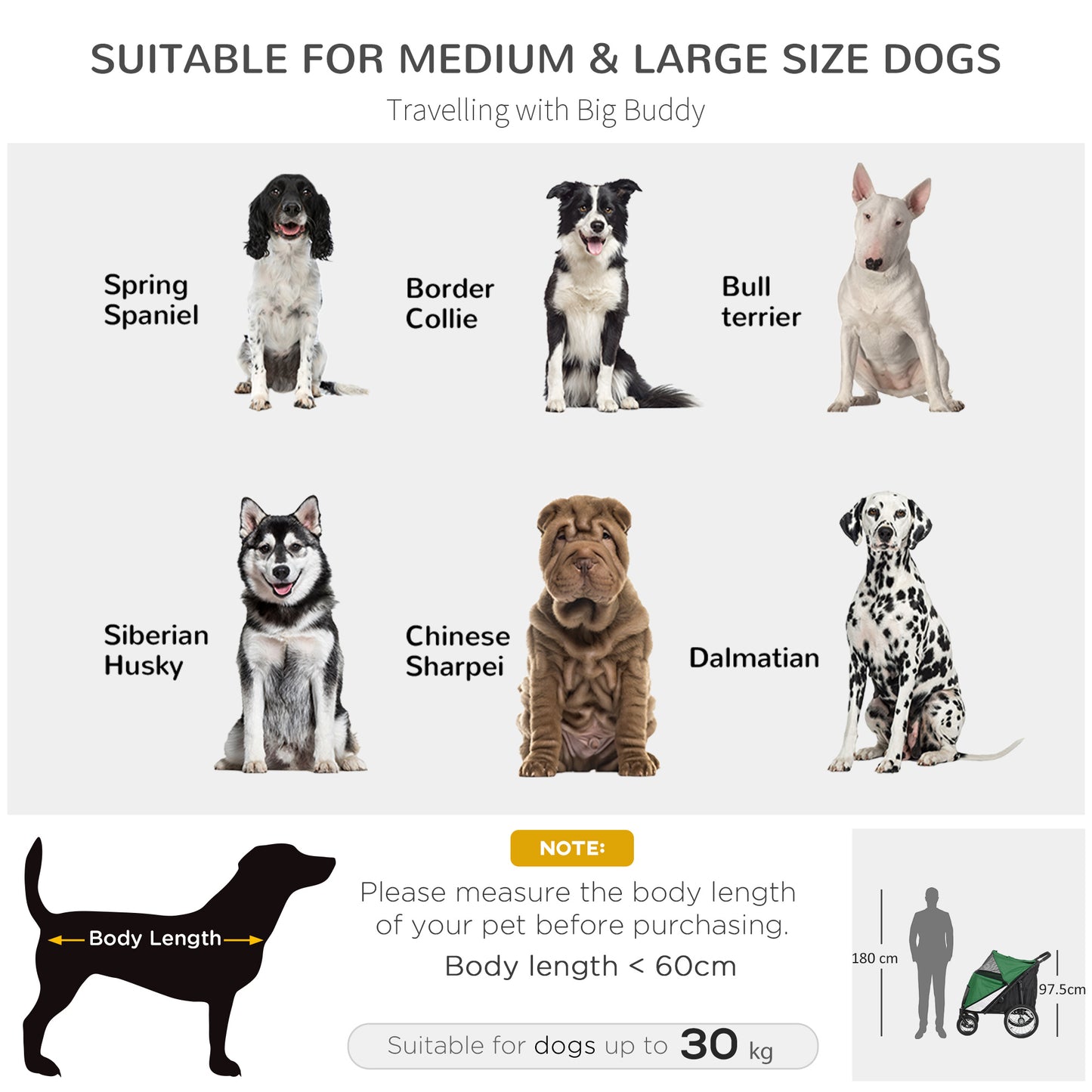 Foldable Pet Stroller with Washable Cushion, Storage Bags, Safety Leash for Medium and Large Dogs Cats Travel, Dark Green by PawHut-2