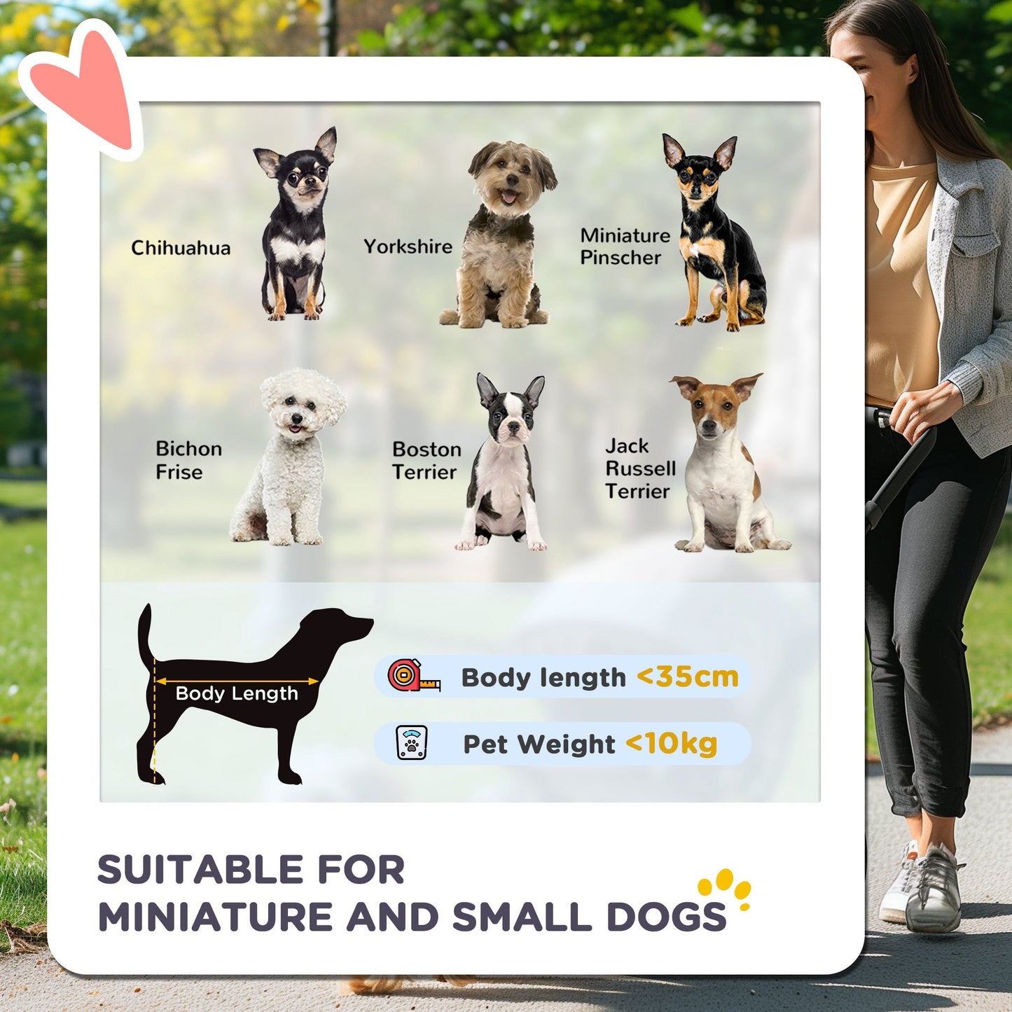 3 Wheel Pet Stroller for Small and Miniature Dogs, Charcoal Grey-3