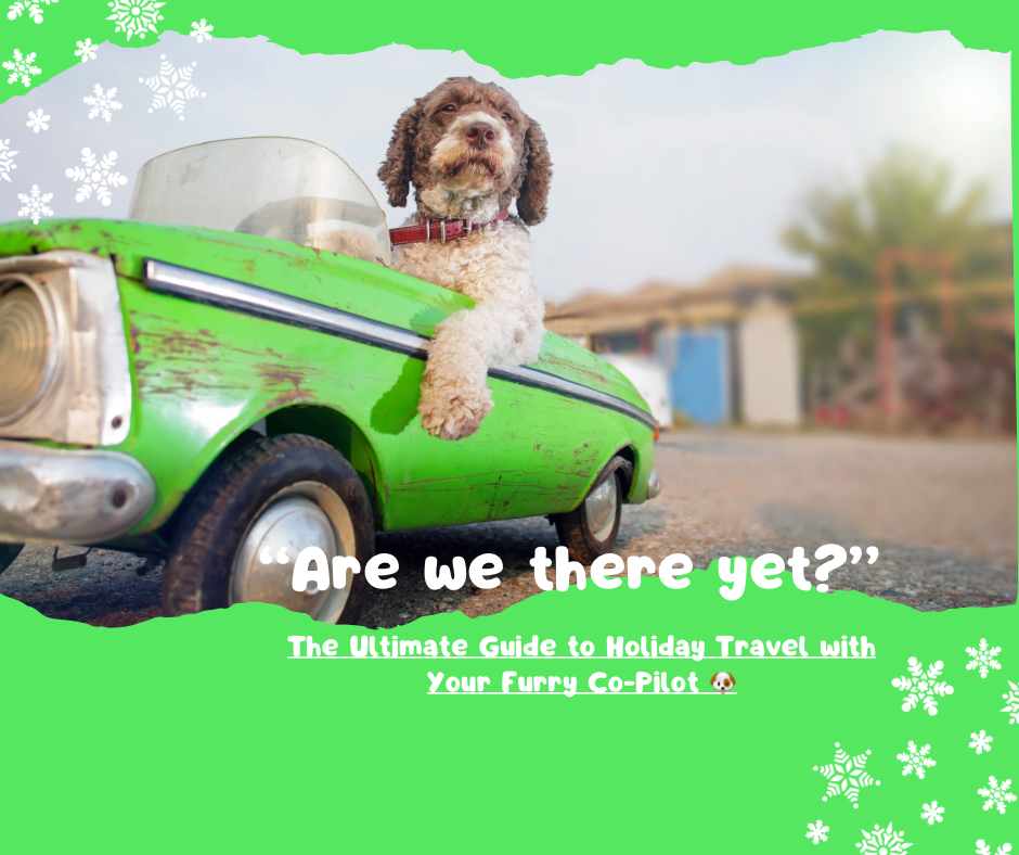 🚗🐾 “Are We There Yet?” – The Ultimate Guide to Holiday Travel with Your Furry Co-Pilot 🐶