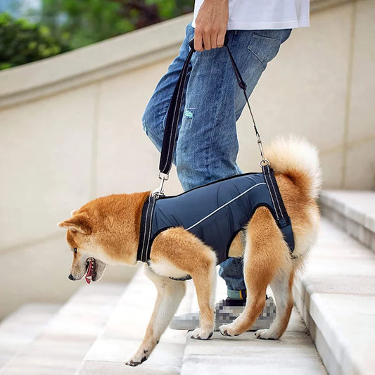 Lift & Love: Ultimate Support Harness for Dogs Pet Support Rehabilitation Sling Padded Breathable Straps for Old Disabled Joint Injuries Arthritis Dog Walk