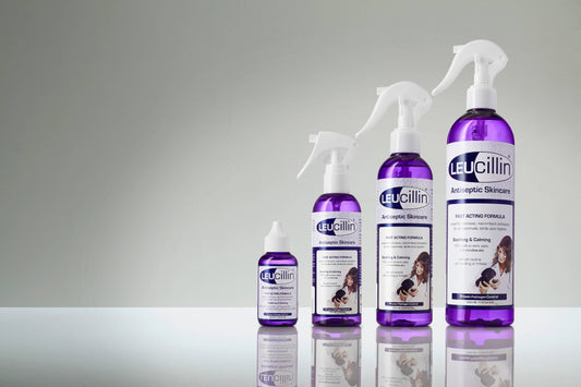 Leucillin Antiseptic Skincare Spray – Powerful, Natural Protection for Pets | 500ml