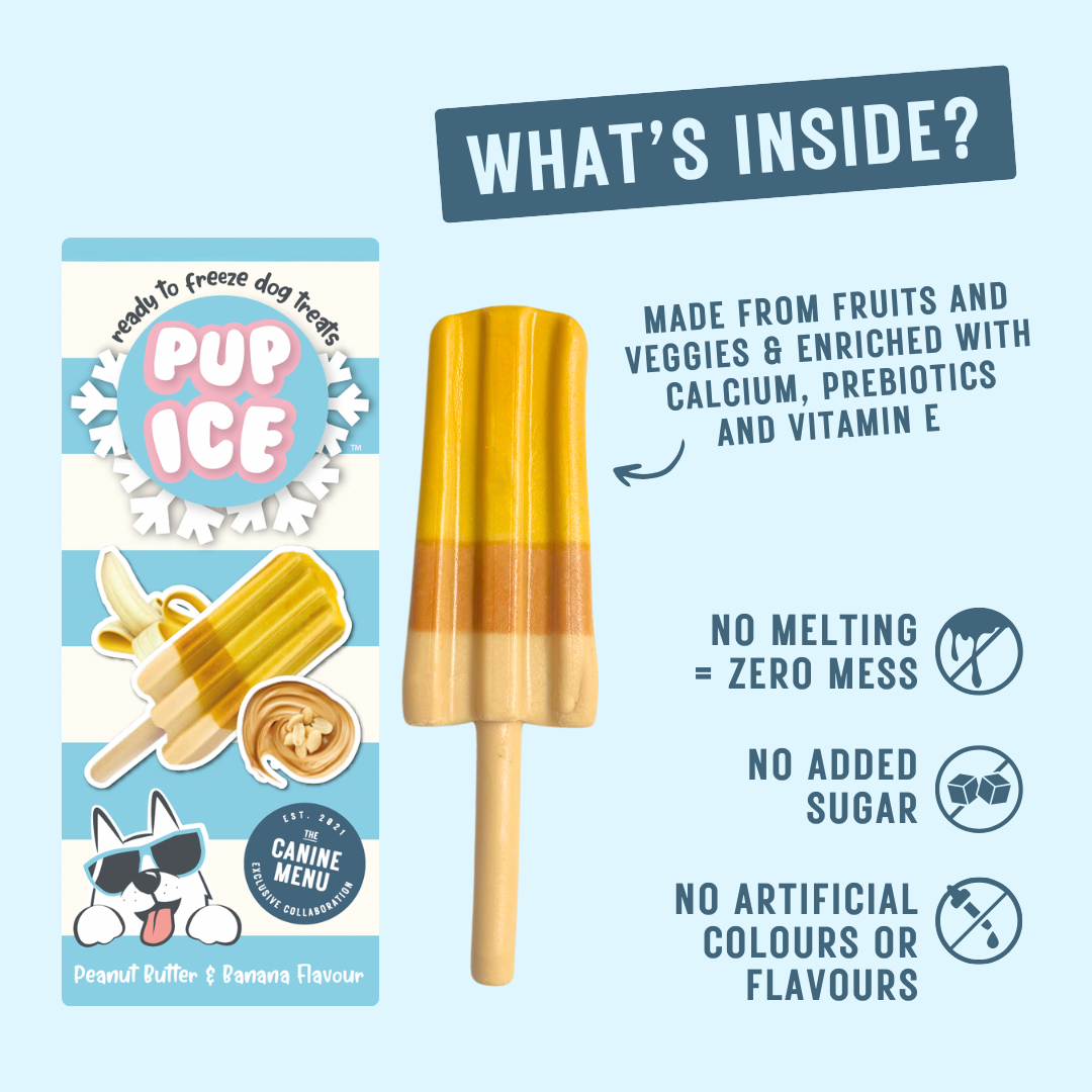 Cool Treats for Cool Dogs! ❄️🐾