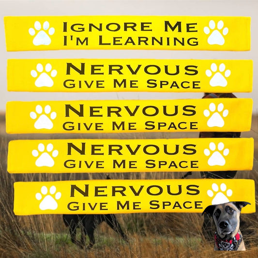 Lead Slips - Nervous Give Me Space