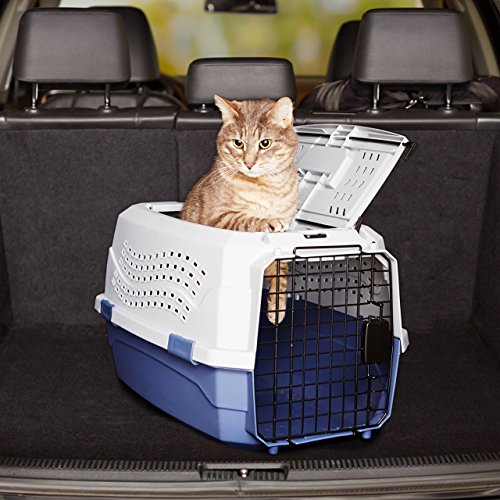 Hard-Sided Cat Carrier, Two-Door Top-Load Pet Dog/Cat Travel Box Carrier, Blue, 58 L x 38 W x 33 H cm