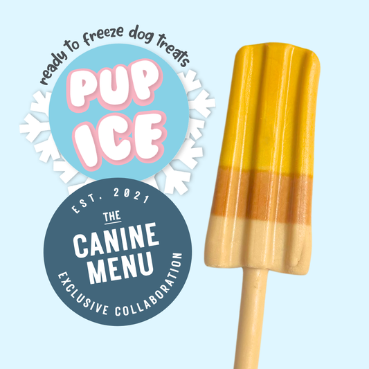 Cool Treats for Cool Dogs! ❄️🐾