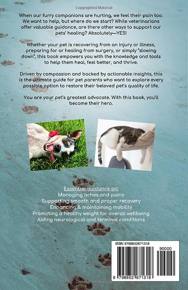 Healing Paws: Your Ultimate Pet Rehabilitation Guide
