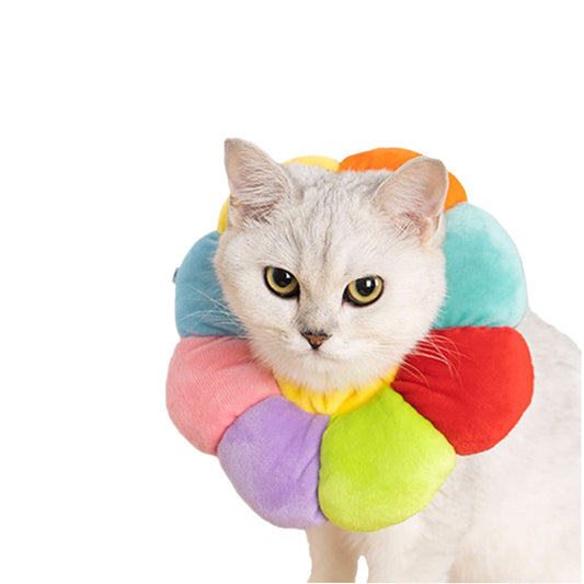 Cat Recovery Collar – Soft Anti-Lick Cone for Cats & Small Dogs