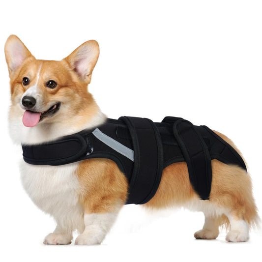 Dog Back Brace M, Adjustable Spine Support Vest for IVDD, Slipped Disc, Herniated Disc, Arthritis, Post Surgery Recovery, Back Pain Relief for Dachshund,Corgi