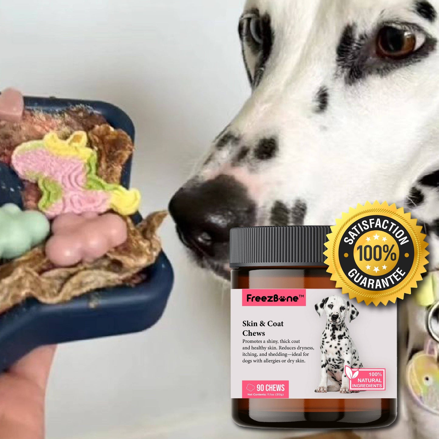 Skin & Coat Dog Chews – Biotin, Collagen & Anti-Itch Support for Healthy Skin (90 Chews)