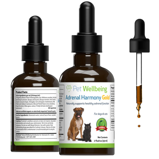 Adrenal Harmony Gold for Dogs – Natural Support for Cushing’s & Adrenal Health | 59ml Herbal Pet Supplement