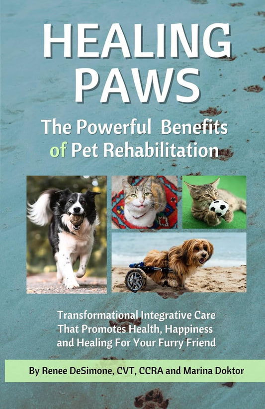 Healing Paws: Your Ultimate Pet Rehabilitation Guide