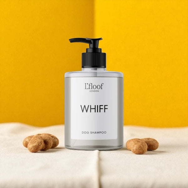 L’floof Sweet Orange Shampoo  Luxury Grooming for the Pets You Adore - 500ml - L'floof WHIFF