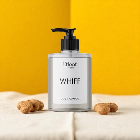 L’floof Sweet Orange Shampoo  Luxury Grooming for the Pets You Adore - 500ml - L'floof WHIFF