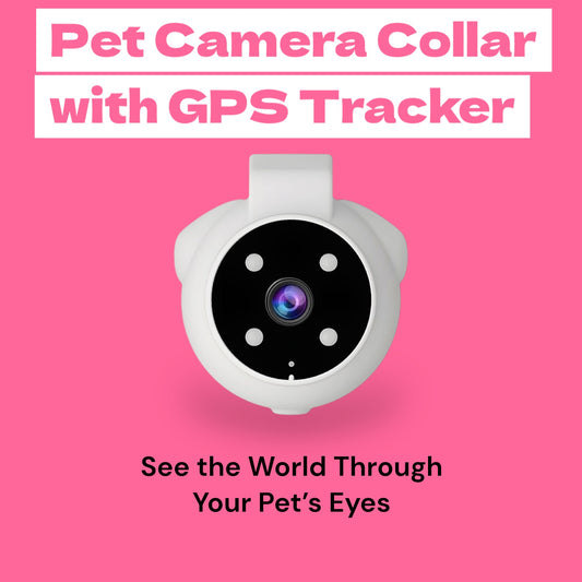 Pet Camera Collar with GPS Tracker – See the World Through Your Pet’s Eyes