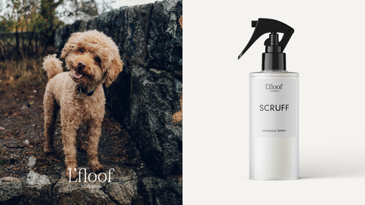 L’floof Orange & Cedarwood Dog Detangle Spray – Natural Coat Conditioner & Flea Repellent (250ml)