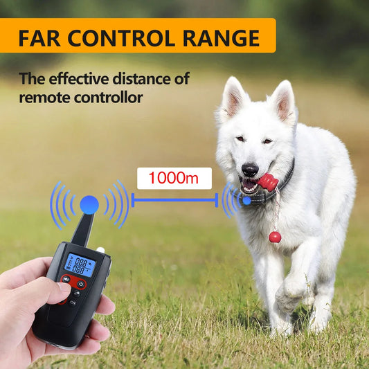 Pet training collar-4