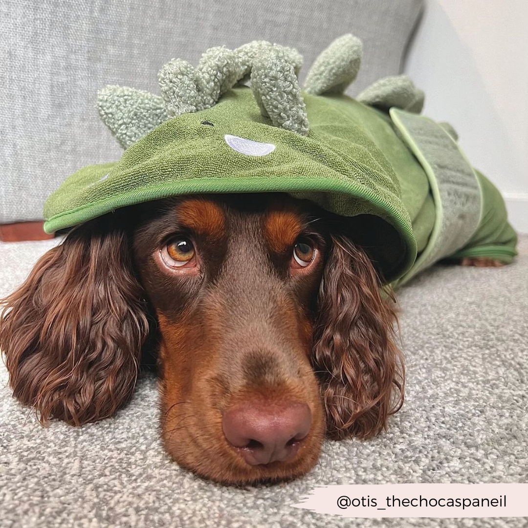 Dinopup Dog Drying Robe – Soft Microfibre Bathrobe with Dino Design