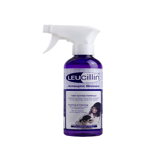 Leucillin Pet Antiseptic Spray | 250ml