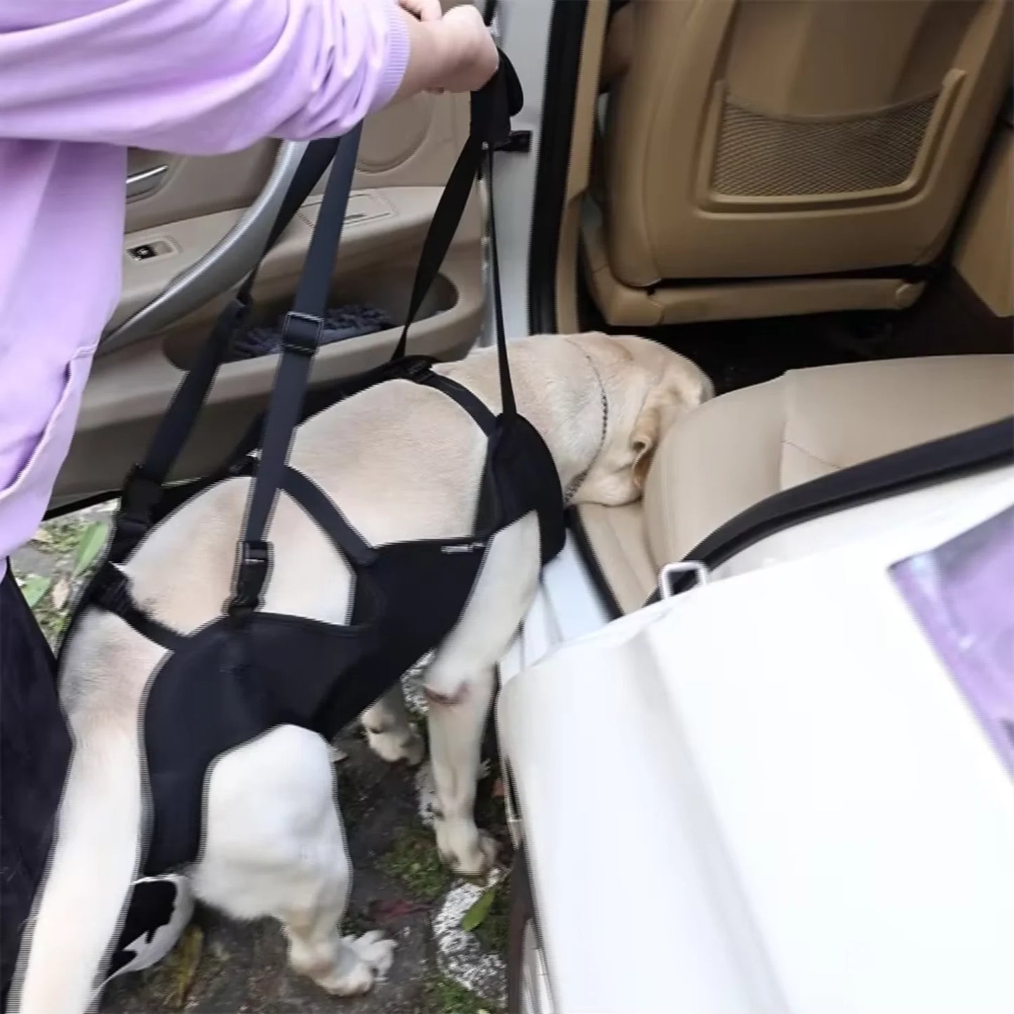 Dog Sling Carrier Dog Carry Sling Pet Legs Support & Rehabilitation Dog Lift Harness   And Down Stairs Arthritis